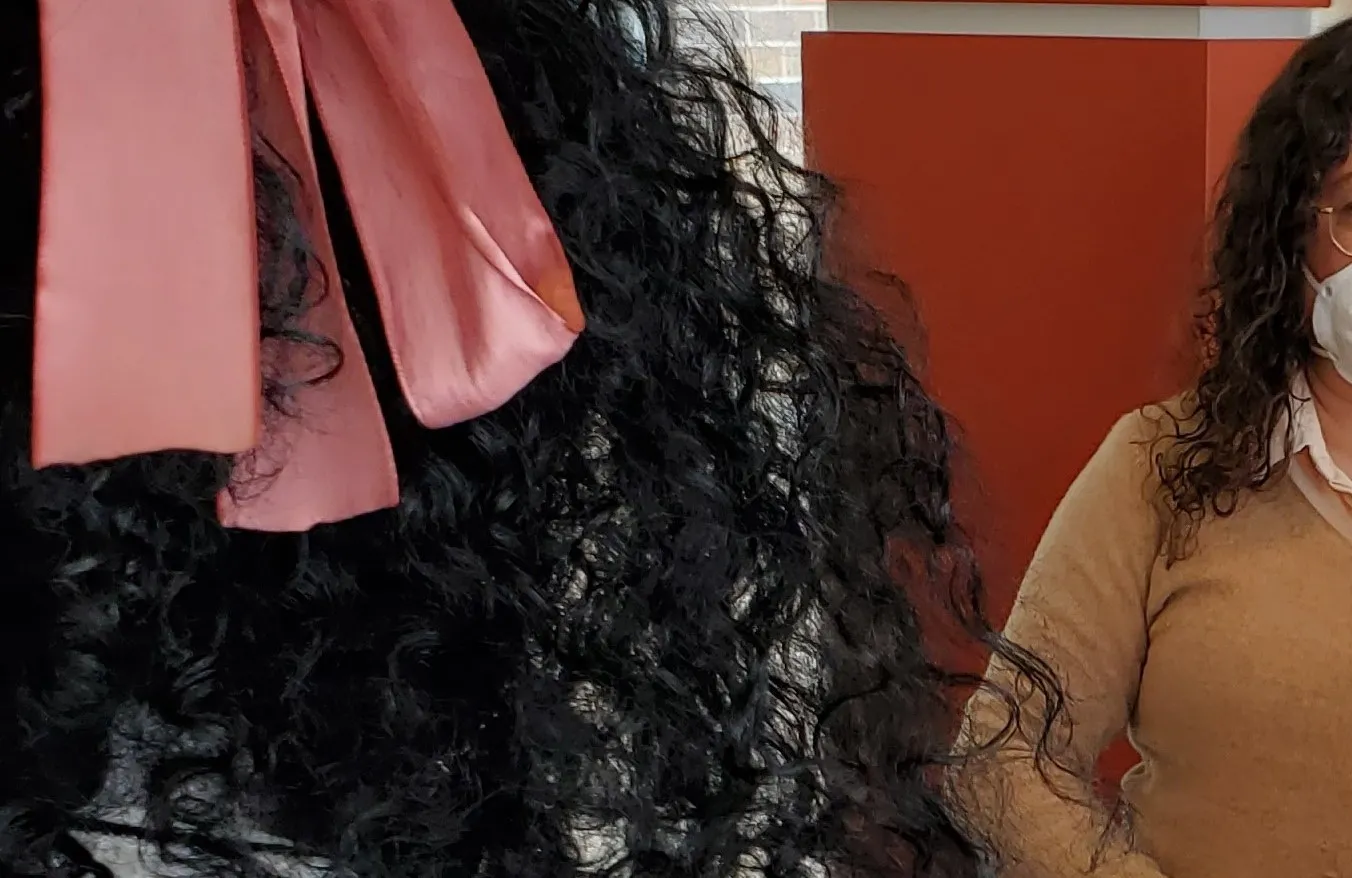 Methods & Capstone Image